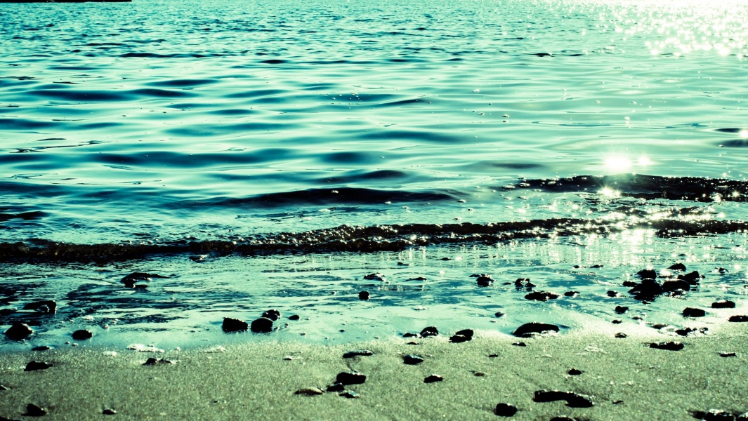 人魚伝説と人魚のミイラ 日本のumaは人気の輸出品