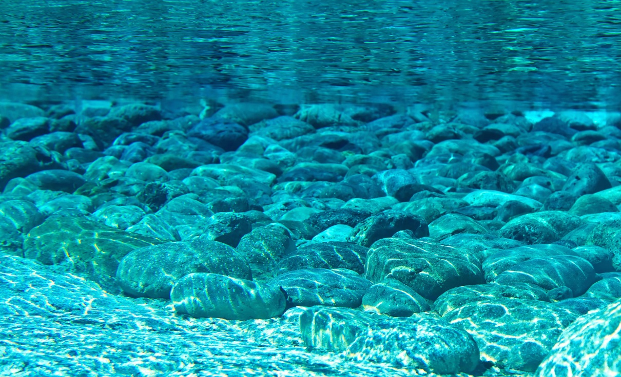 もうボンベ不要 口にくわえて水中で呼吸できる人工エラ開発